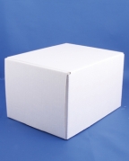 Karton til pipetteflaske 30mlx20stk