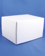 Karton til pipetteflaske