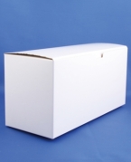 Karton til plastflasker 100mlx10stk, 25stk