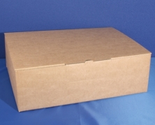 Karton til IntraCon beholder 500mlx10stk, 10stk