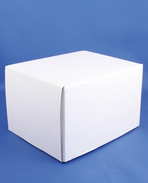 Karton til pipetteflaske 20mlx20stk