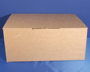 Carton for IntraCon container 1.000mlx10pcs, 10pcs
