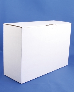 Carton for IntraCon container 100mlx10pcs, 25pcs