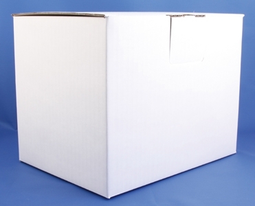 Karton til IntraCon beholder 250mlx10stk, 10stk